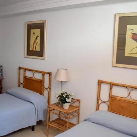 Paradise - Flamingo *