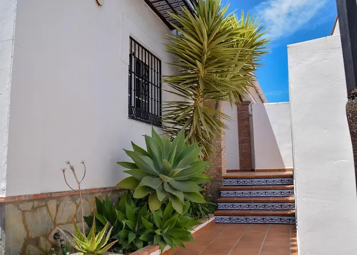 Paradise - Flamingo نيرخا