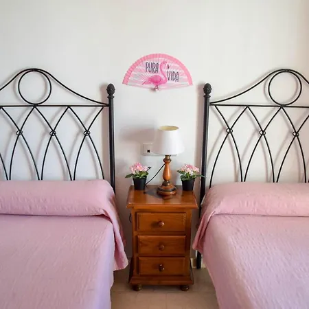 Paradise - Flamingo *