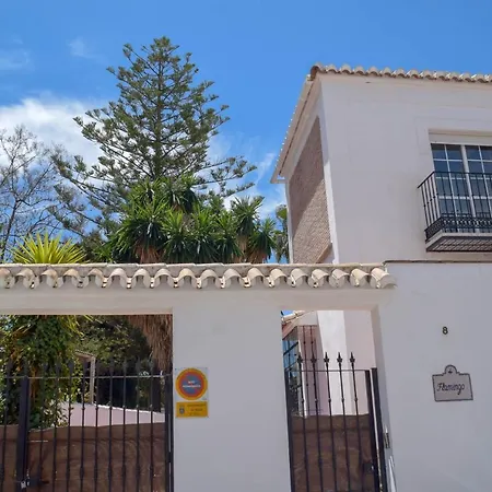 Paradise - Flamingo *