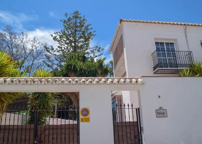 Paradise - Flamingo *