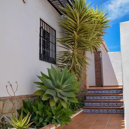 Paradise - Flamingo נרחה